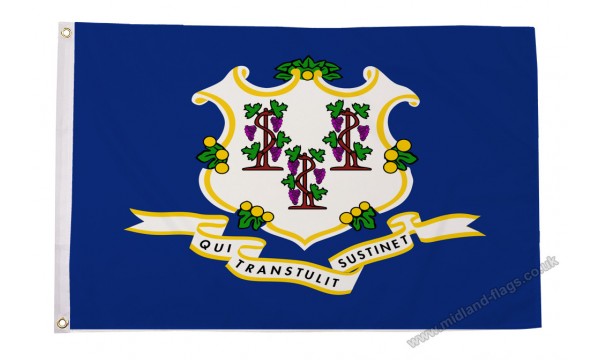 Connecticut 5ft x 3ft Flag - CLEARANCE